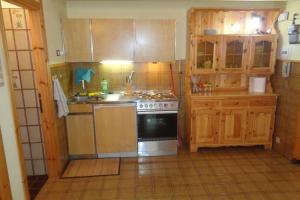 Kuchyň nebo kuchyňský kout v ubytování Intero appartamento in stile montagna + 8 fotografií