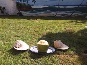 a green coconut on a plate on the grass at Suíte das flores em Guajiru in Trairi