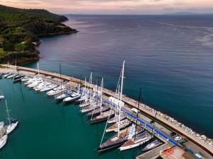 an aerial view of a marina with boats in the water at Marina di Scarlino Resort in Puntone di Scarlino