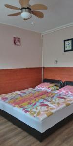 ジュラにあるLiza Apartmanの天井ファン付きの客室のベッド1台分です。