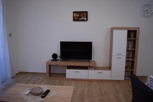 un salon avec une télévision à écran plat sur une table dans l'établissement Apartmani Jelenić, à Ždrelac
