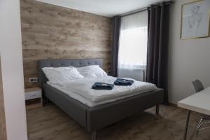 Säng eller sängar i ett rum på Novohradská