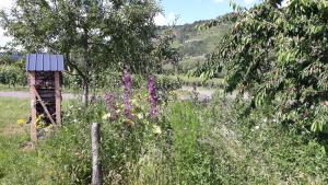 a garden with purple flowers and a wooden fence at Gästehaus Sophie in Trittenheim