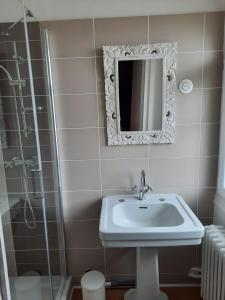 a bathroom with a sink and a mirror and a shower at Le Clos des Soyeux in Saint-Victor-sur-Rhins
