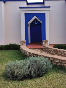 una puerta azul en una casa con una planta en el patio en Dar Yanis, en Essaouira