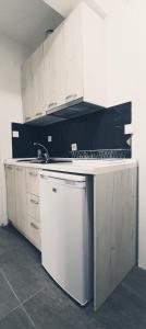 Η κουζίνα ή μικρή κουζίνα στο Apartmani Kaldrma