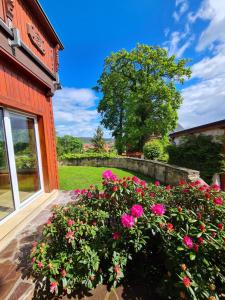 a garden with pink flowers in front of a building at Ferienwohnung Am Heidelberg in Blankenburg