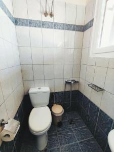 a bathroom with a toilet and a sink at Kostas Skondros Studio in Saoúli