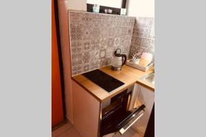 a small kitchen with a sink and a stove at Exklusive Ferienwohnung MIRO 25 m² in ruhiger Lage in Heidelberg