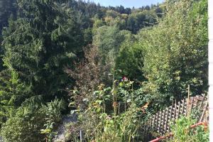 a view of a forest filled with lots of trees at Exklusive Ferienwohnung MIRO 25 m² in ruhiger Lage in Heidelberg