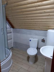 a bathroom with a toilet and a sink at Під горою in Volovets