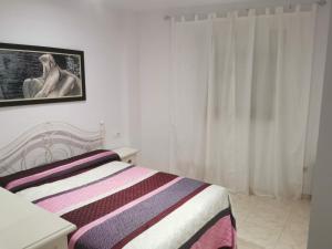 1 dormitorio con 1 cama y una foto en la pared en Apartamentos el rebalaje, en Roquetas de Mar