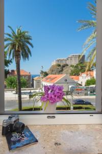 a camera and a book and flowers in a window at Tomato Old Town entrance in Dubrovnik