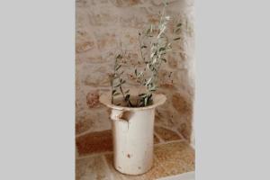 Gallery image of Trulli Monteforte in Villa Castelli