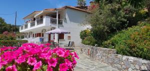 Zahrada ubytování Drosia apartments