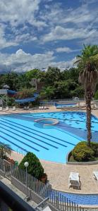 a large swimming pool with a palm tree next to it at Apartasol Santafe de Antioquia 15 in Santa Fe de Antioquia