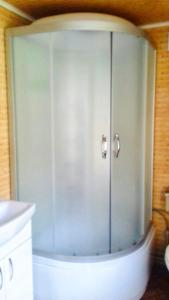 La salle de bains est pourvue d'une douche avec une porte en verre. dans l'établissement Садиба «Пасіка» відпочинок в Карпатах, à Zelena