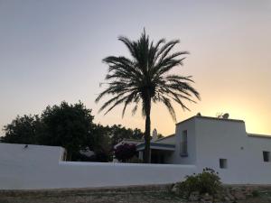 Fotografie z fotogalerie ubytování Villa Can Bonet de Baix de Cas Micali v destinaci Santa Gertrudis de Fruitera