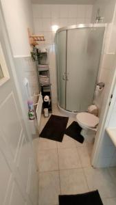 a bathroom with a sink and a toilet and a mirror at Rodzinne Siedlisko in Biskupiec