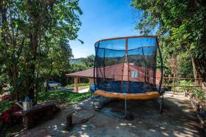 Zahrada ubytování Villas Macadamia - Monteverde