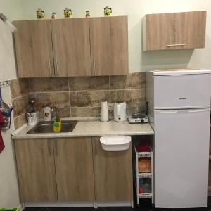 uma pequena cozinha com um lavatório e um frigorífico em Apartments ZOLOTOY BEREG em Zatoka
