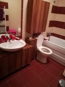 een badkamer met een wastafel, een toilet en een bad bij Untold 2024 - 3-room apartment with garden for 6-8 person, 2 private parking in Cluj-Napoca
