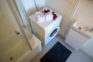 uma casa de banho com uma máquina de lavar roupa e um lavatório em Apartament Cicha em Rzeszów