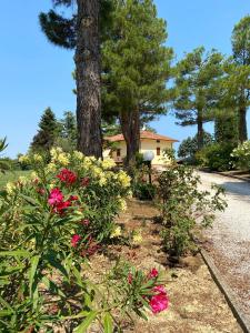 a garden with flowers and a tree and a house at Villa Rina in Pesaro