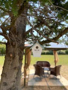 a birdhouse hanging from a tree next to a chair at Villa Rina in Pesaro