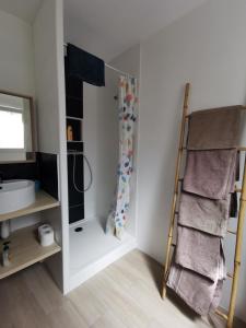 a bathroom with a ladder and a sink and a mirror at Toulon centre ancien proche gare et départ Corse- 5 pers - FREEWIFI - AC in Toulon