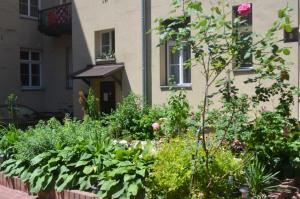 Vonkajšia záhrada v ubytovaní Czar Prowansji - Comfy & Quiet near Rynek&Train Station Netflix
