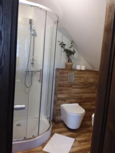 een badkamer met een douche en een toilet bij Dom Gościnny Poza Czasem in Żubracze