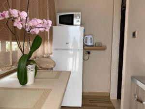 Kuchyňa alebo kuchynka v ubytovaní Emyteo Apartment