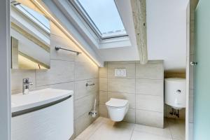 a bathroom with a toilet and a sink and a skylight at Apartment light in Pula in Pula