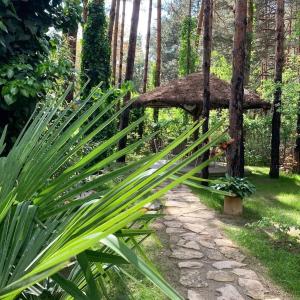 a garden with a bench and a thatch hut at Vila Dunavski Raj in Golubac