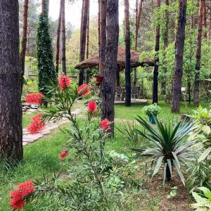 a garden with red flowers and trees and a gazebo at Vila Dunavski Raj in Golubac