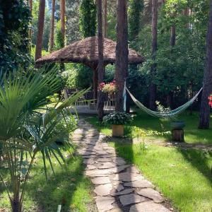 a garden with a hammock and a gazebo at Vila Dunavski Raj in Golubac