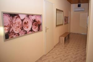 Fotografia z galérie ubytovania Lilian apartmanház v Siófoku
