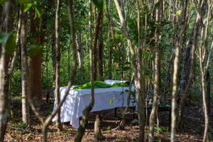 Zahrada ubytování Aldea Coba An Escape Boutique Experience
