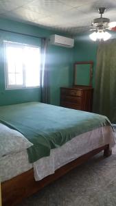 博卡斯德爾托羅的住宿－Nicol Aparment，一间卧室设有一张大床和一个窗户。