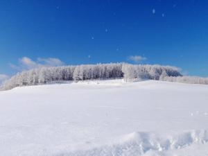 Plànol de Furano - Hotel / Vacation STAY 35850