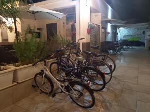 a group of bikes parked next to each other at B&B villa brezza marina in Sant'Isidoro