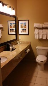 a bathroom with a toilet and a sink and a mirror at Country Inn & Suites by Radisson, Minot, ND in Minot