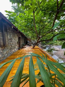 a wooden walkway leading to a building with trees at The Hunter House in Ciudanoviţa