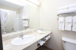 Koupelna v ubytování Pomeroy Inn and Suites Dawson Creek