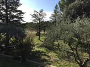 un gruppo di alberi in un prato di Maison calme a Beaumes-de-Venise