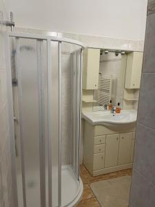 Ένα μπάνιο στο Apartmán Netolice 207 Deluxe +21 φωτογραφίες