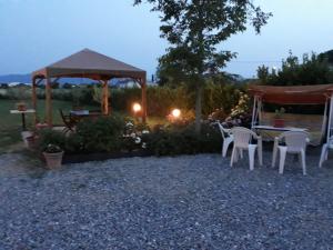 A garden outside Villa Monica