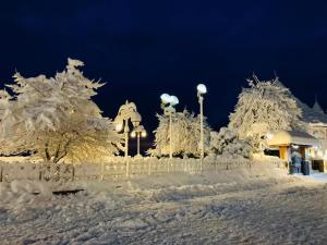 um quintal coberto de neve com árvores cobertas de neve em Abuzz Oxfordcaps Simla em Shimla