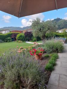 a garden with flowers and plants in a yard at Villa la provenzale in Camaiore